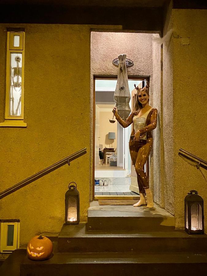 Casa Disa - Dreams, A Boutique Guesthouse In Reykjavik City'S Central Park And Botanical Garden In Laugardalur, Hot-Spring-Valley Bagian luar foto