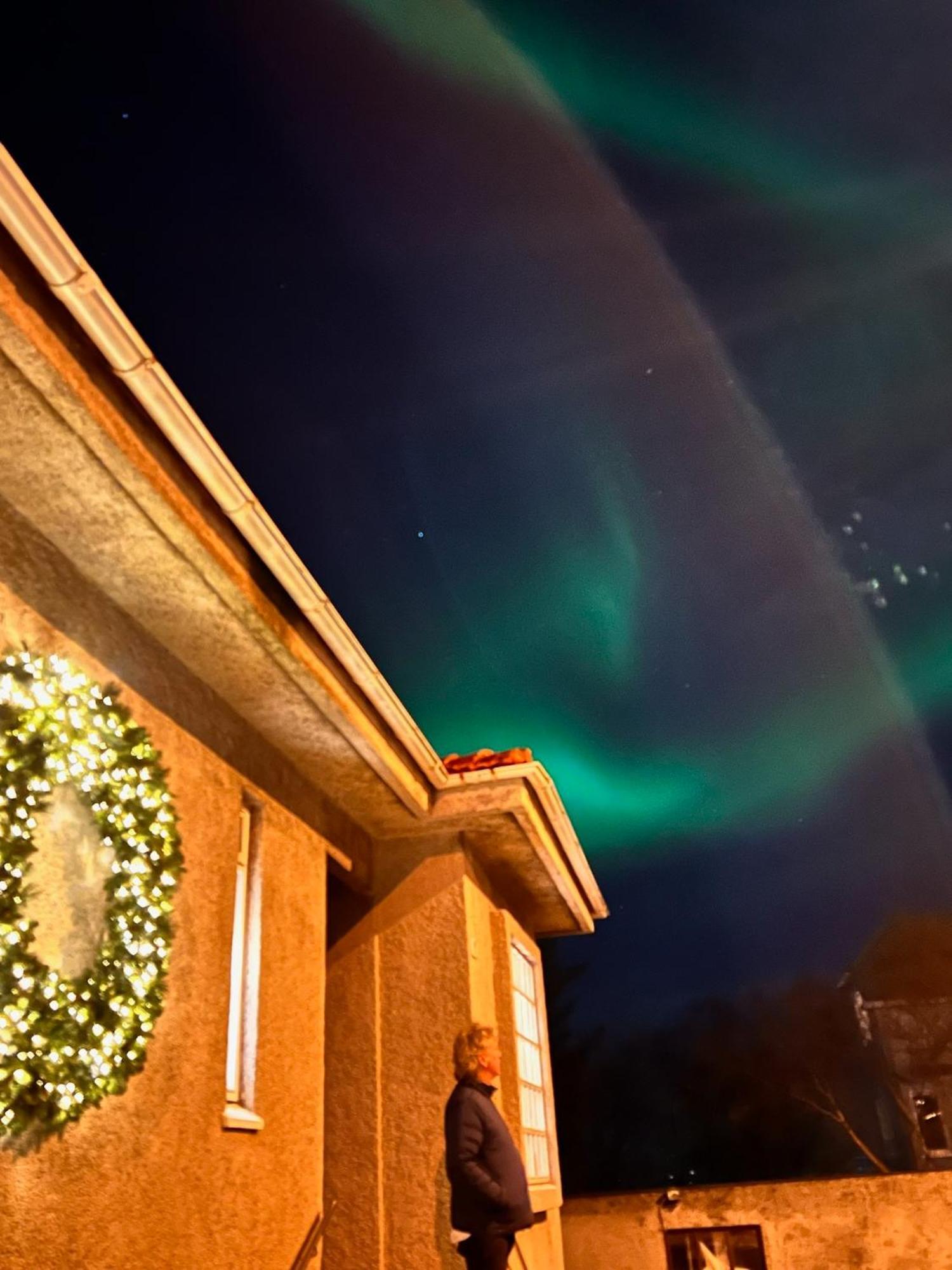 Casa Disa - Dreams, A Boutique Guesthouse In Reykjavik City'S Central Park And Botanical Garden In Laugardalur, Hot-Spring-Valley Bagian luar foto