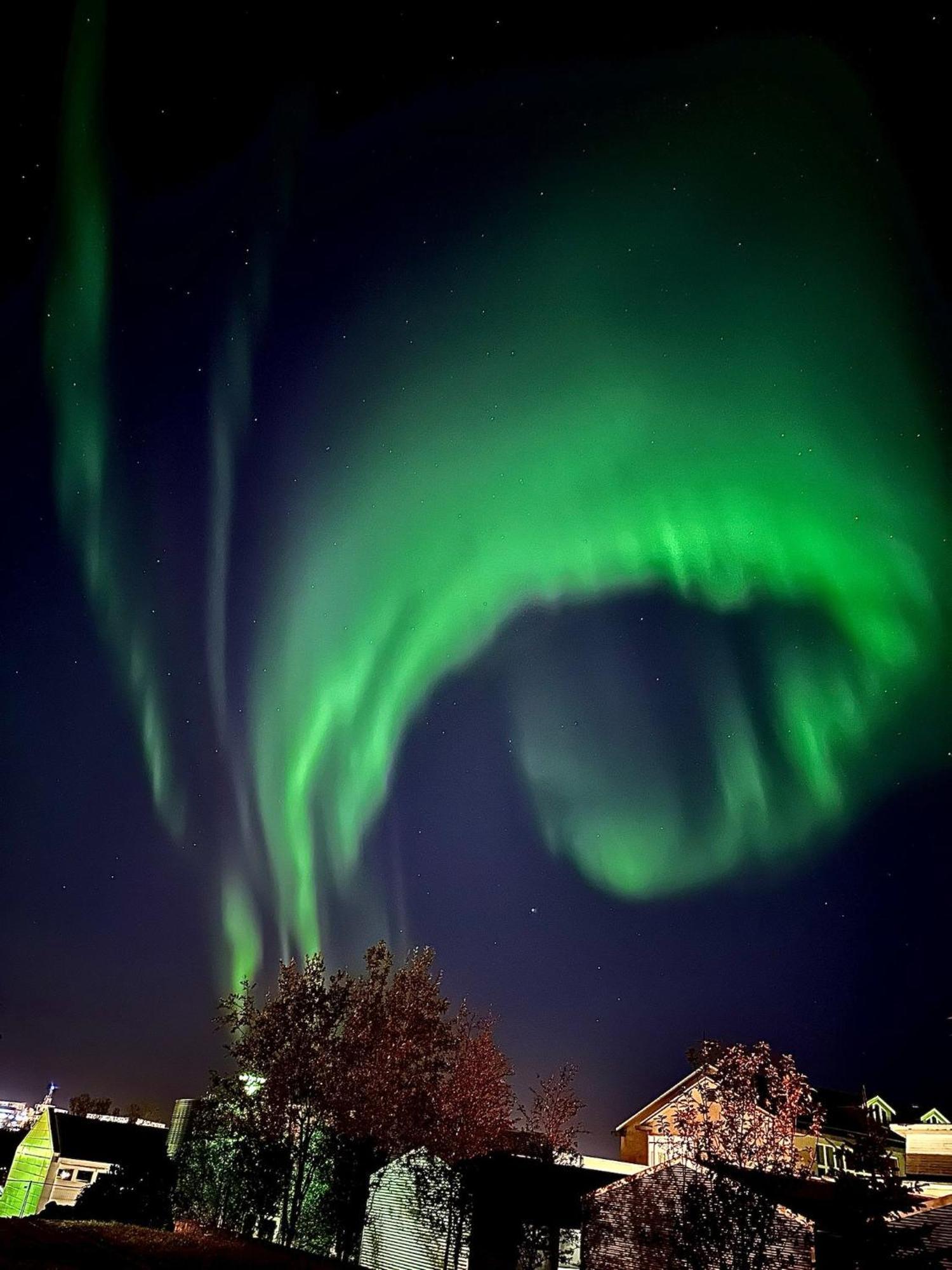 Casa Disa - Dreams, A Boutique Guesthouse In Reykjavik City'S Central Park And Botanical Garden In Laugardalur, Hot-Spring-Valley Bagian luar foto