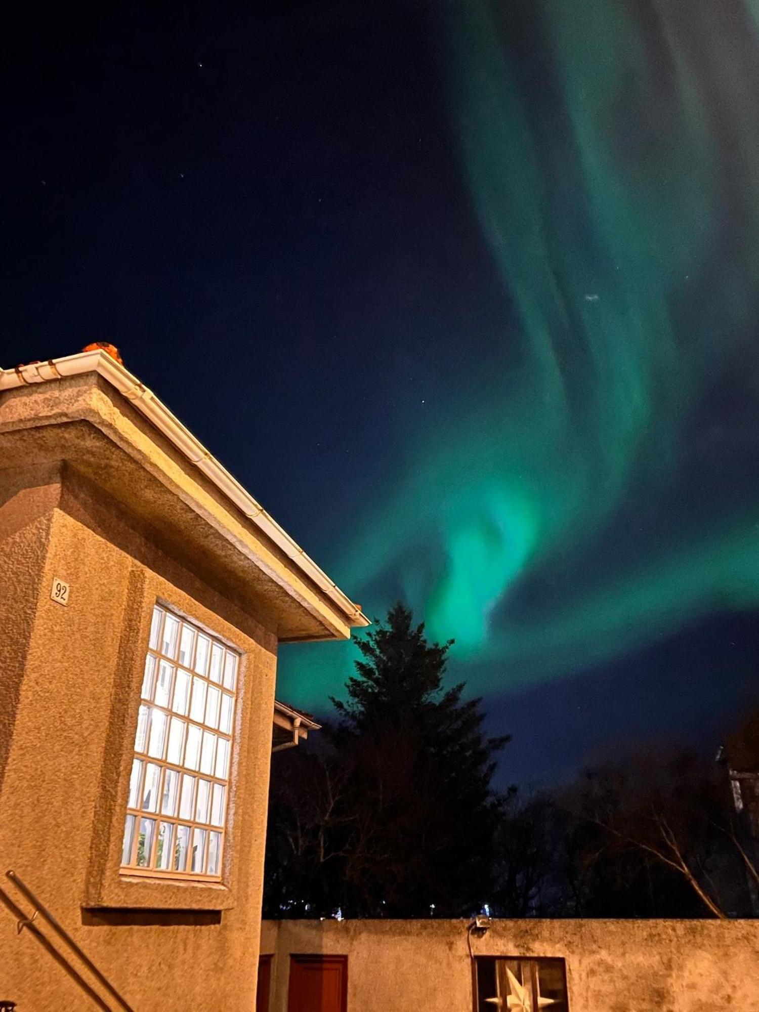 Casa Disa - Dreams, A Boutique Guesthouse In Reykjavik City'S Central Park And Botanical Garden In Laugardalur, Hot-Spring-Valley Bagian luar foto