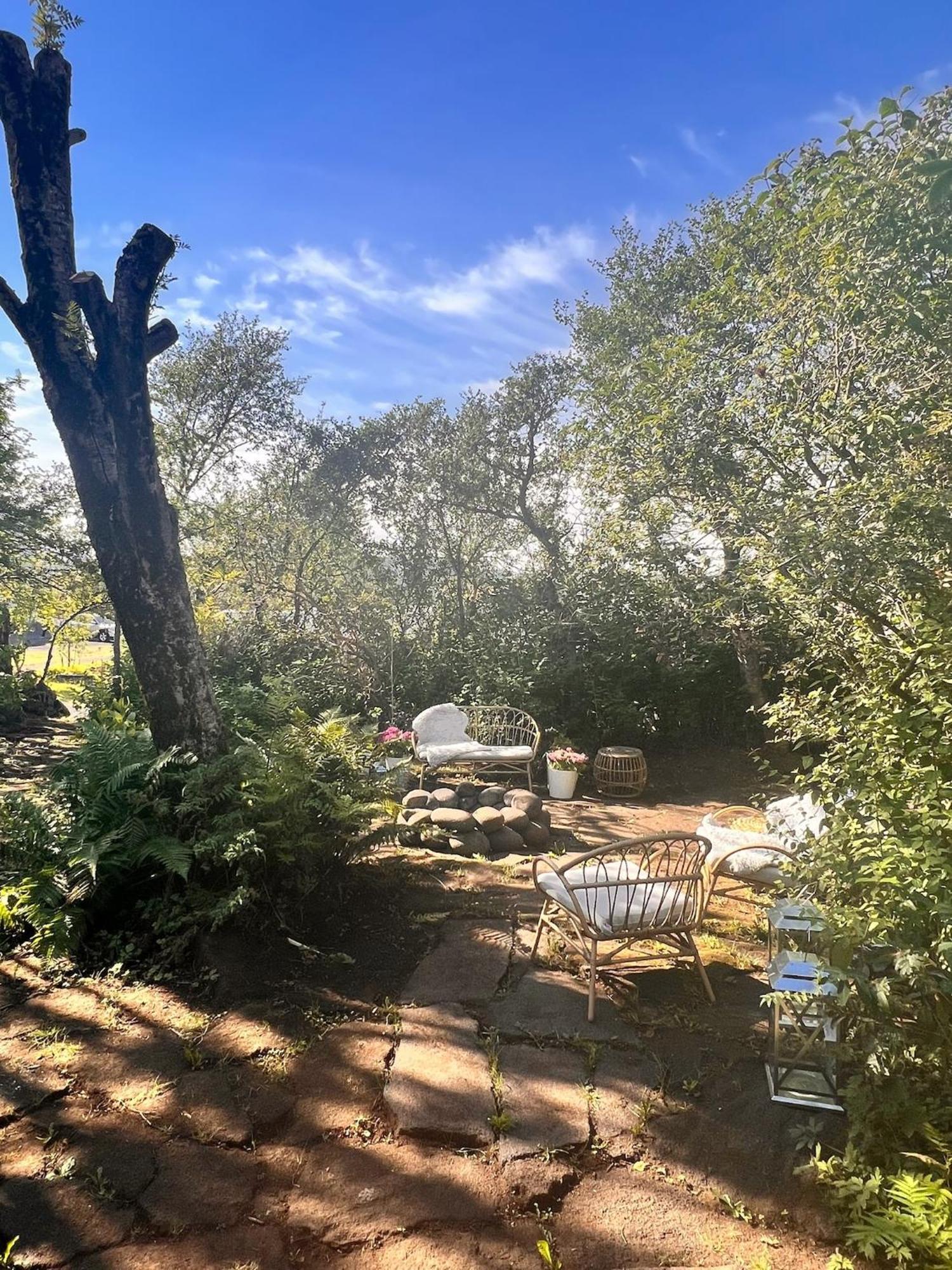 Casa Disa - Dreams, A Boutique Guesthouse In Reykjavik City'S Central Park And Botanical Garden In Laugardalur, Hot-Spring-Valley Bagian luar foto