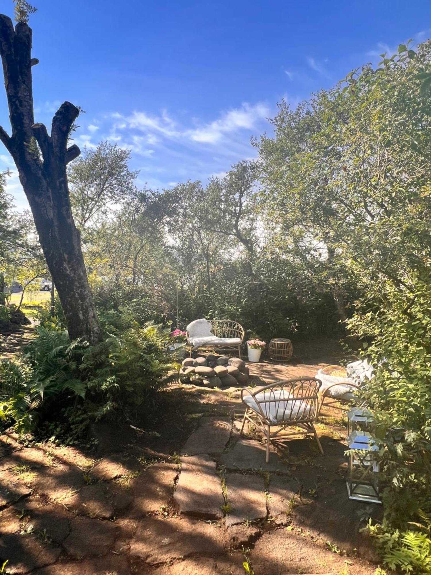 Casa Disa - Dreams, A Boutique Guesthouse In Reykjavik City'S Central Park And Botanical Garden In Laugardalur, Hot-Spring-Valley Bagian luar foto